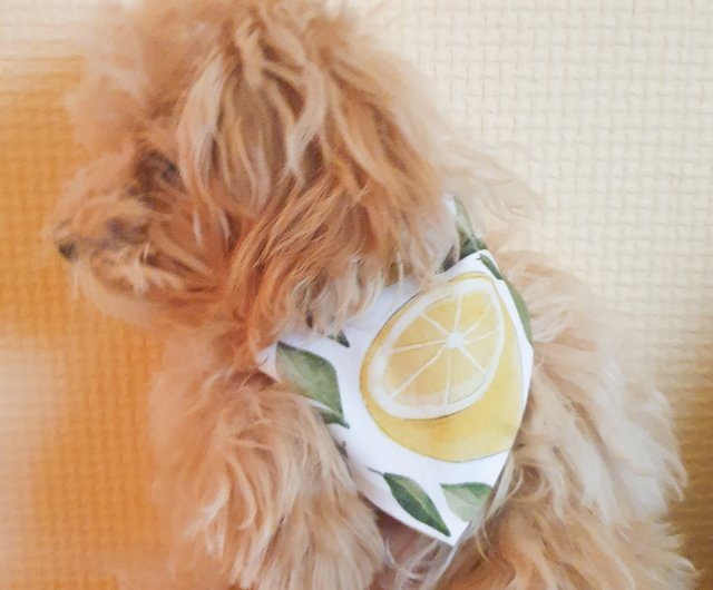 犬と猫のためのレモンバンダナ 犬のアクセサリー ペットのバンダナ 猫のアクセサリー ショップ Happytinyfriends 洋服 帽子 Pinkoi