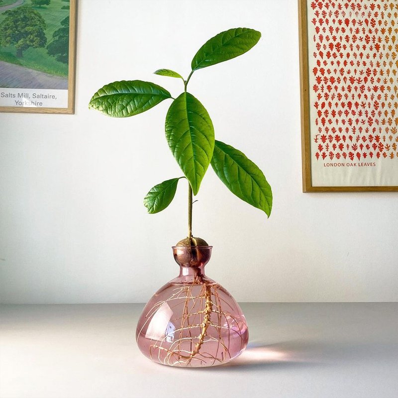 ILEX STUDIO | Avocado glass vase rose pink - เซรามิก - แก้ว สีแดง