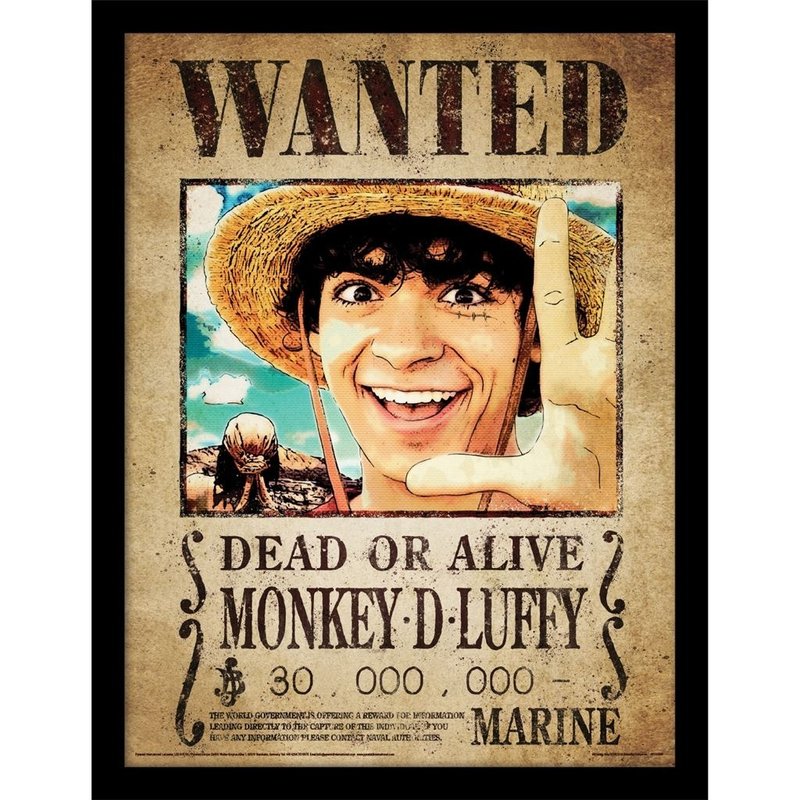【ONE PIECE】真人版魯夫複製畫 ( 含框 ) - 海報/掛畫/掛布 - 其他材質 多色