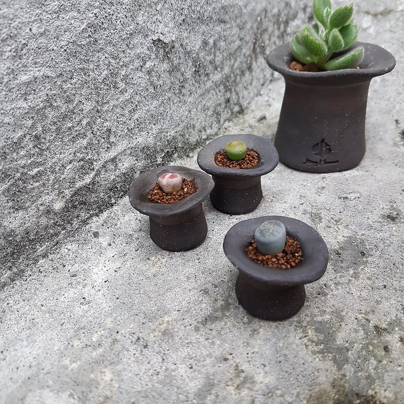 A Magician Hat 3【Mini】 Lithops pseudotruncatella (Bgr.) N.E.B - Plants - Pottery Black