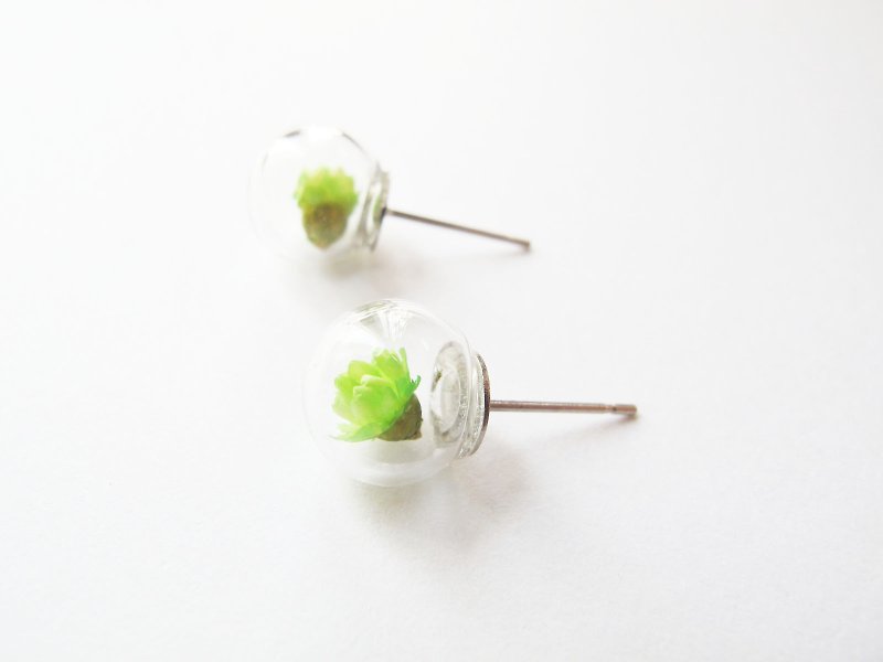 * Rosy Garden * Dried Daisy inside glass ball earrings - Earrings & Clip-ons - Glass White