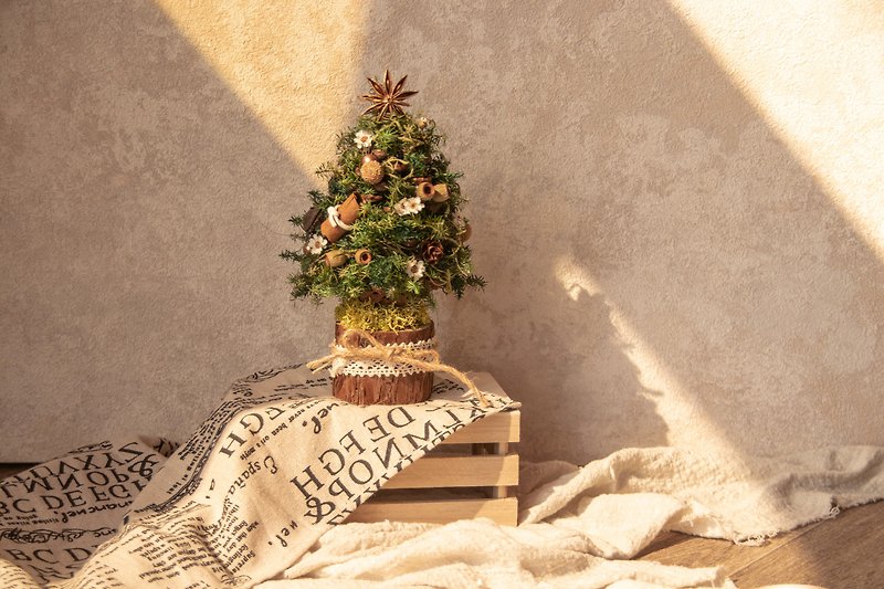 杉の松ぼっくりクリスマスツリーテーブルクリスマスプレゼント - 置物 - 寄せ植え・花 