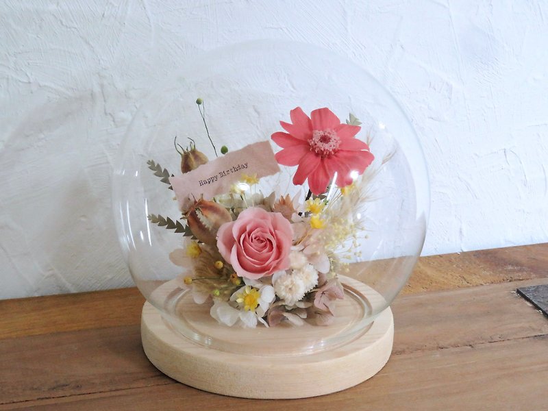 Preserved flower glass shade pink zinnia - ช่อดอกไม้แห้ง - พืช/ดอกไม้ สึชมพู