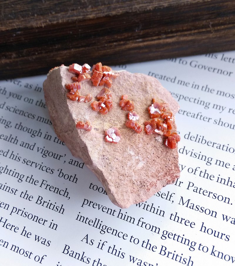 Vanadinite 摩洛哥產地 釩鉛礦 重晶石共生 天然礦石 原礦 - ของวางตกแต่ง - วัสดุอื่นๆ 