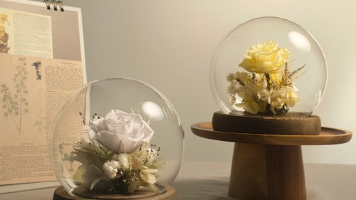 木漏日｜Komorebi Florist 實用花語系列 - 淡紫玫瑰鐘罩