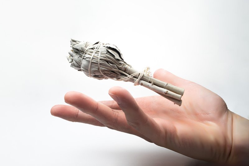 【正念靜觀】美國加洲 白鼠尾草 (5寸/把) - 香氛蠟燭/燭台 - 植物．花 綠色