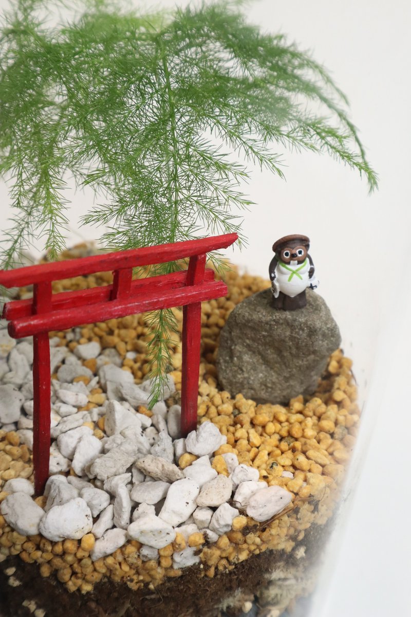 【Micro Landscape】 Tanuki Shrine- Japanese Style/Torii/Birthday Gift/Indoor Plants - Plants - Glass Green