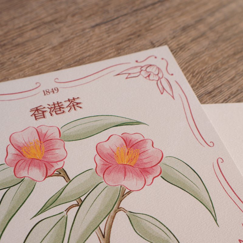香港花系列明信片 — 香港茶 - 卡片/明信片 - 紙 