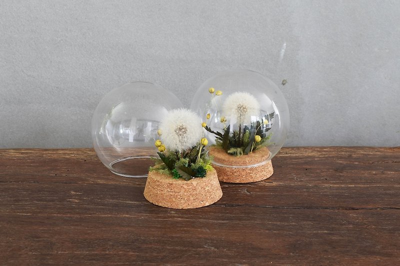 Mengtianya Dandelion Preserved Flower Glass Flower Vessel - Items for Display - Resin White