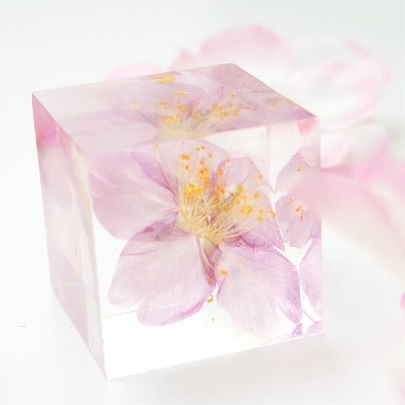 新しい棚、季節の川野桜の標本、純粋な桜のシリーズ、バレンタインデー - その他 - 寄せ植え・花 ピンク