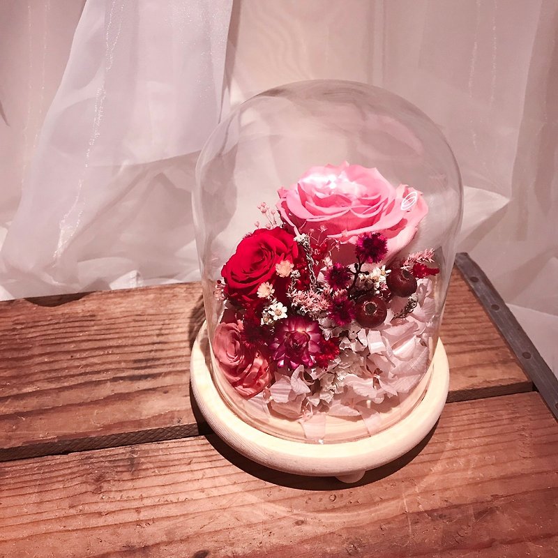 Everlasting Flower Glass Cover Night Light-Red Pink - Plants - Plants & Flowers Red