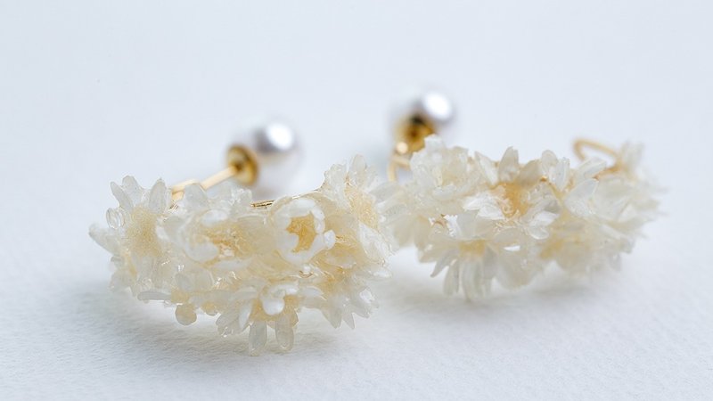 | Star Flower. In full bloom | Hand-made dry flower earrings / half-moon-shaped asymmetrical design - ต่างหู - พืช/ดอกไม้ ขาว