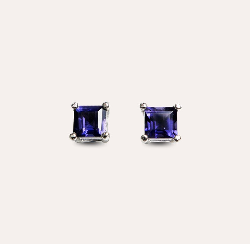 AND heelite blue purple square 4mm earrings classic series Square E natural treasure - Earrings & Clip-ons - Silver Blue