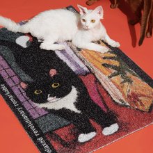 pidan Cat Litter Mat - Shop pidan Cat Litter & Cat Litter Mats - Pinkoi