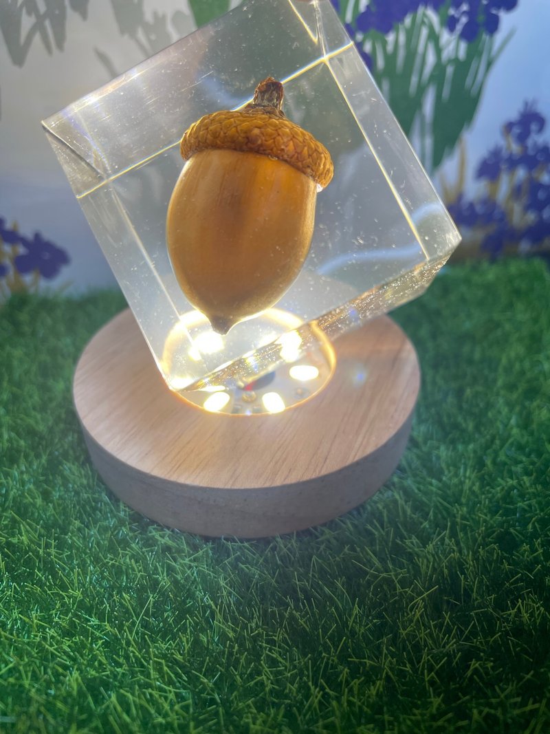 北美紅櫟水晶膠植物標本 - 擺飾/家飾品 - 塑膠 