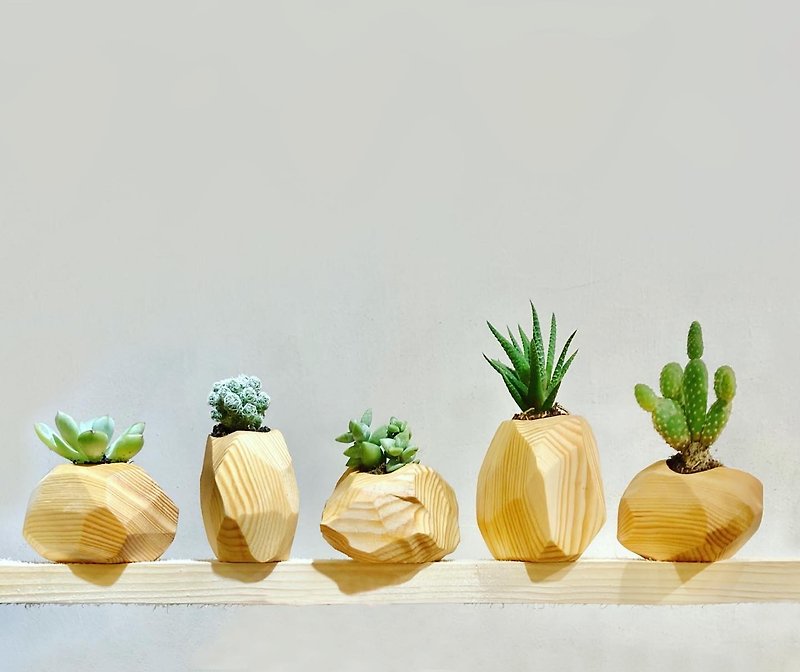 Small wood pots series ( 2024 HKSD Awards - Finalist ) - Plants - Wood Orange