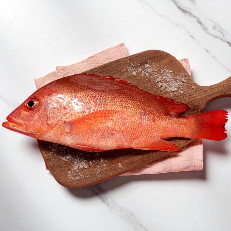台灣紅雞母紅魚 去刺急凍海鮮 - 其他 - 新鮮食材 