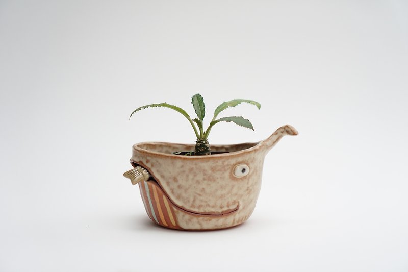 Whale pot , Whale plant pot , Handmade ceramics , pottery  - 植栽/盆栽 - 陶 多色