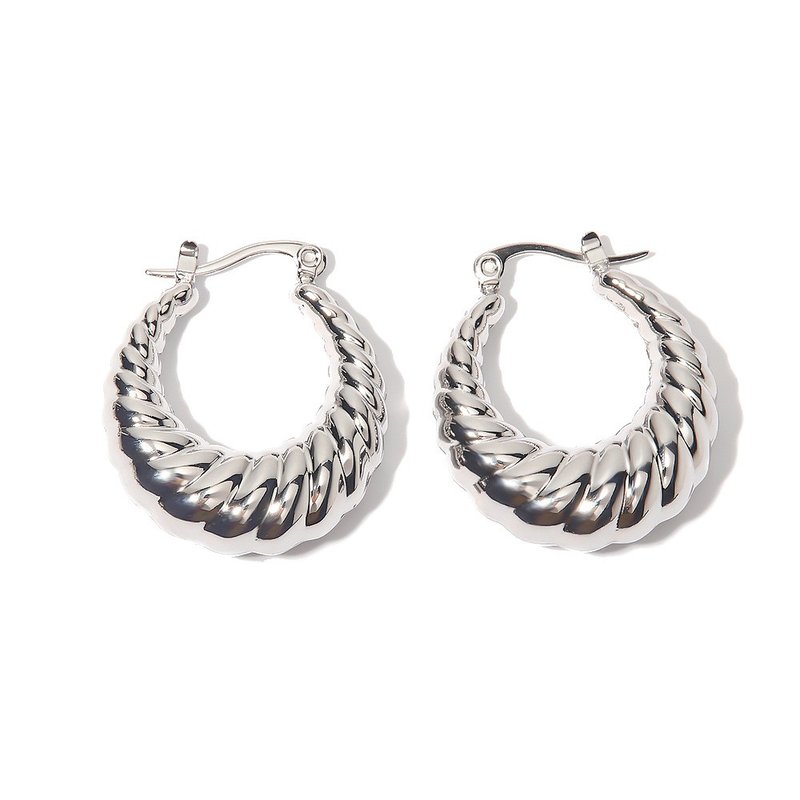 New product! ANJI steel color croissant earrings top medical steel European and American fashion Korean style - Earrings & Clip-ons - Stainless Steel Silver