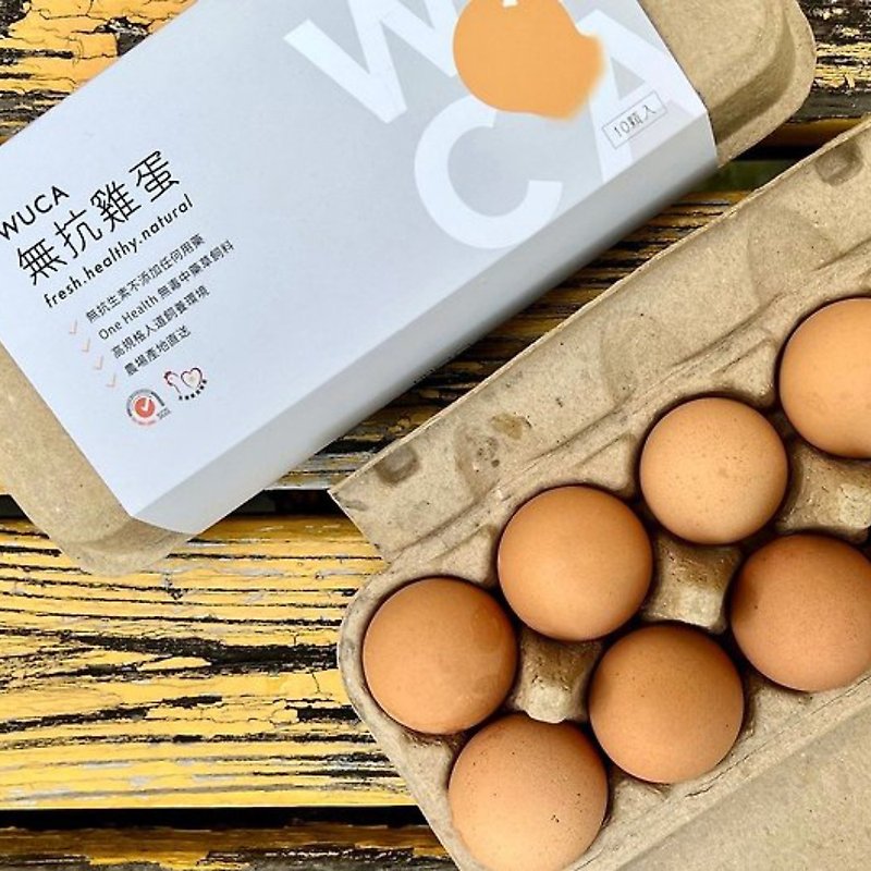 Good Food Every Day_WUCA Antibiotic-Free Eggs_10 pieces - Other - Other Materials Yellow