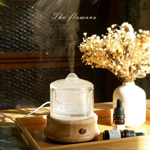 Purigin品植 【現貨 母親節禮物】水氧機 可充電實木玻璃高階機型 80ML 質感佳