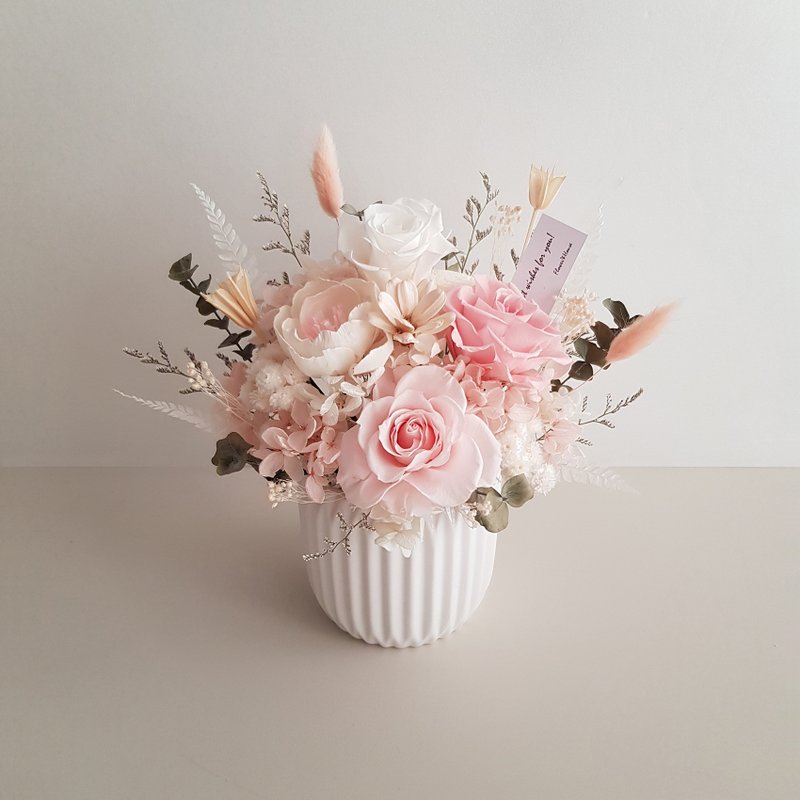 Preserved flowers + dried flowers | soft pale pink preserved roses dried potted flowers | universal congratulations on birthdays and housewarming - ช่อดอกไม้แห้ง - พืช/ดอกไม้ สึชมพู