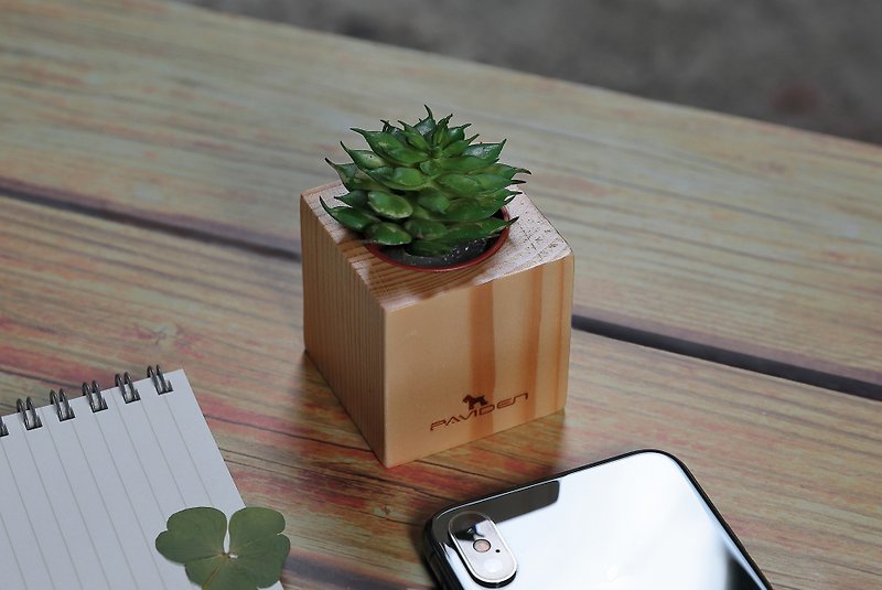 アリス植木鉢-小さい（植物なし） - 観葉植物 - 木製 オレンジ