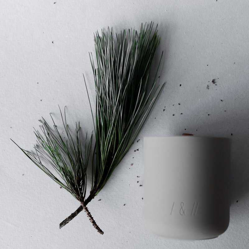 松木 - 現在/this系列 | 香氛蠟燭 - 香氛蠟燭/燭台 - 蠟 灰色