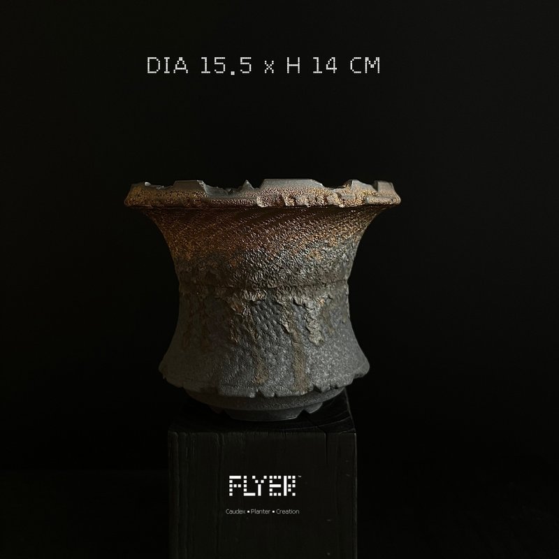 FLYER 塊根多肉植物陶盆器 龍舌蘭象牙宮象足漆樹盆器 - 花瓶/花器 - 陶 