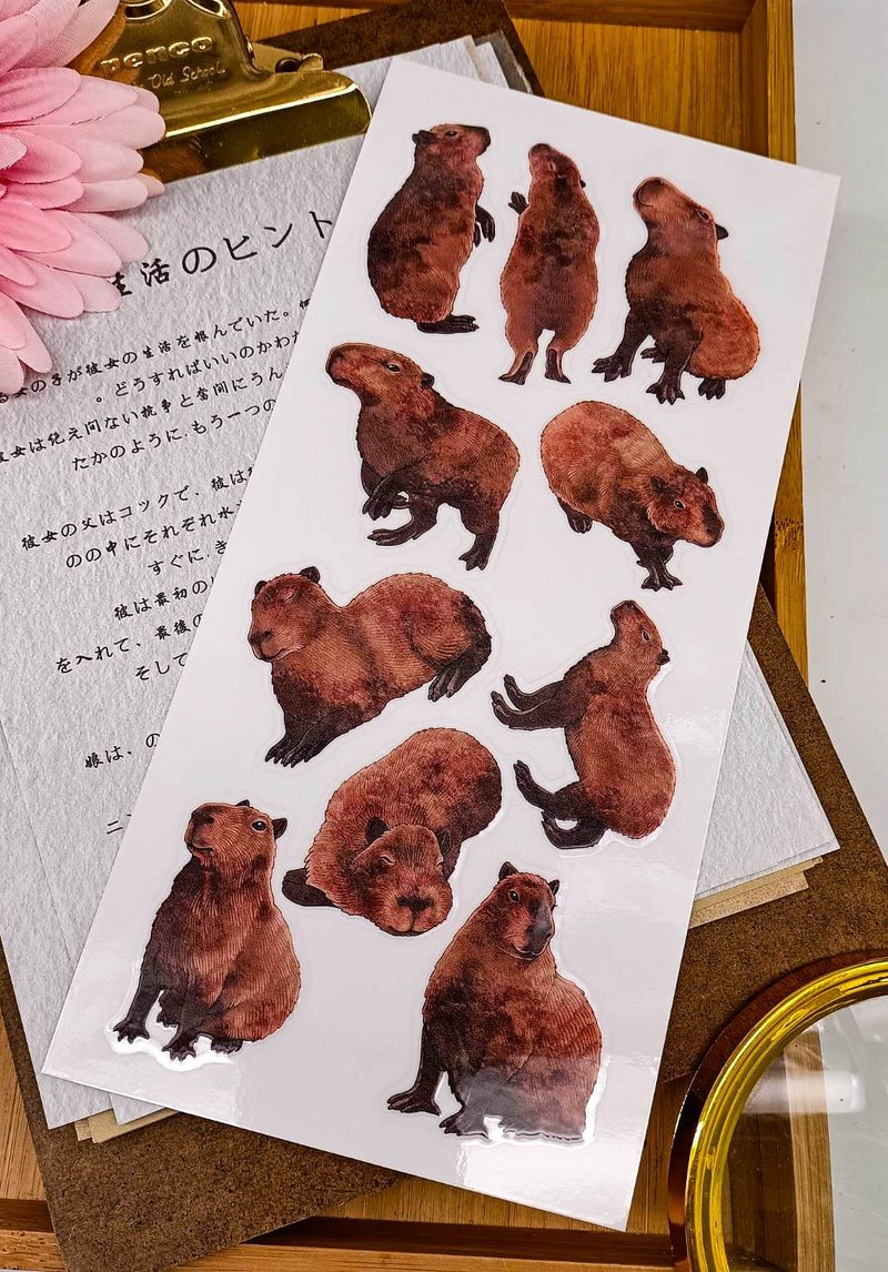 5K070-10_五口美-乾式轉印貼紙_ I am pretty Transfer Stickers - 貼紙 - 其他材質 多色