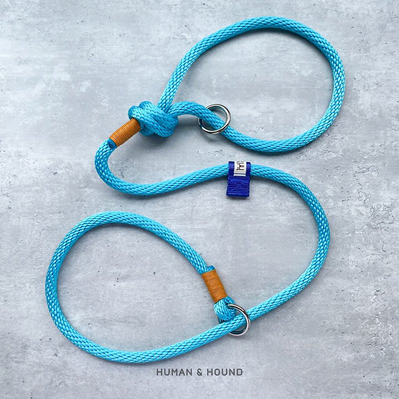 Dog Turquoise Slip Leash - 寵物衣服 - 尼龍 藍色