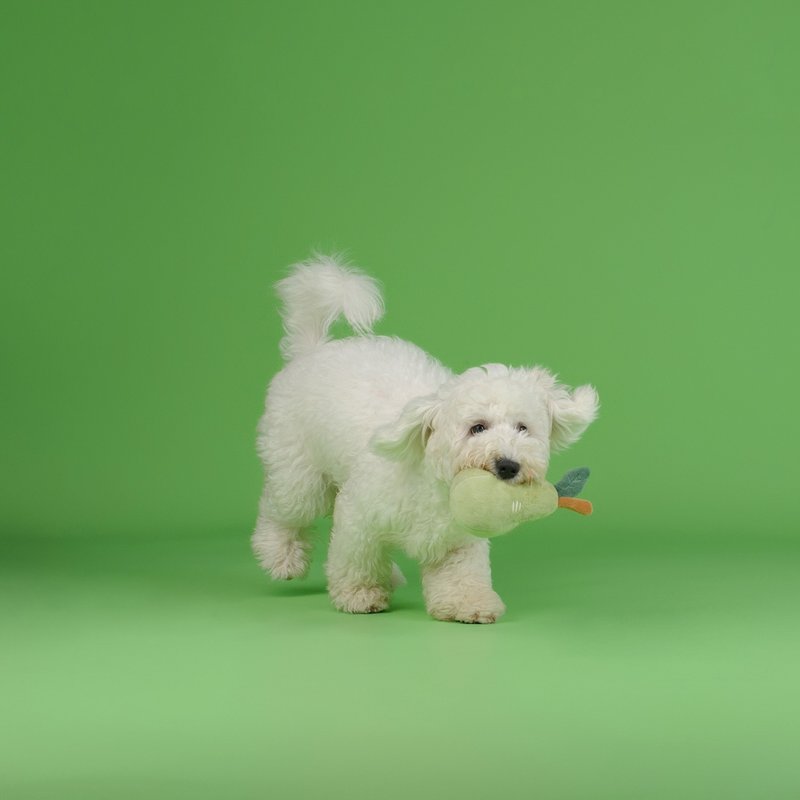 【狗玩具】 CHEWFFON 西洋甜梨 - 貓/狗玩具 - 其他材質 