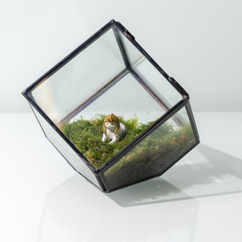 Architectural Lichen Opening Gift [Plant Warranty] Gift - Plants - Glass Transparent