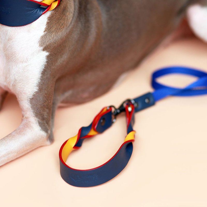 Twist pet leash, Colorful Soft Leather Handle Nylon Strong Lightweight Dog Leash - 項圈/牽繩 - 真皮 藍色