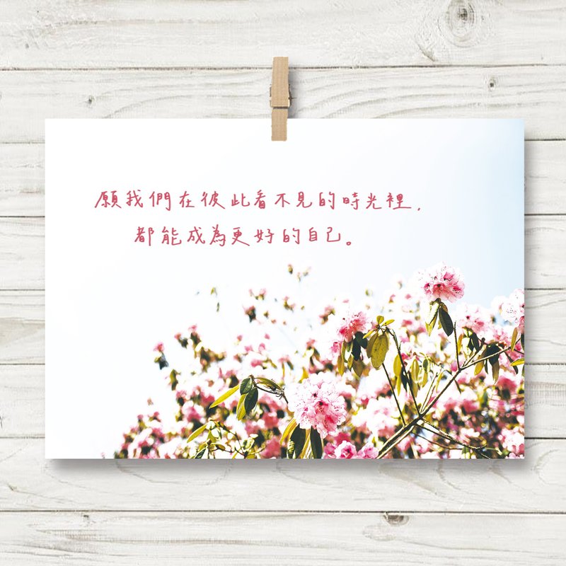 看不見的時光  / 明信片 (U1) - 卡片/明信片 - 紙 粉紅色