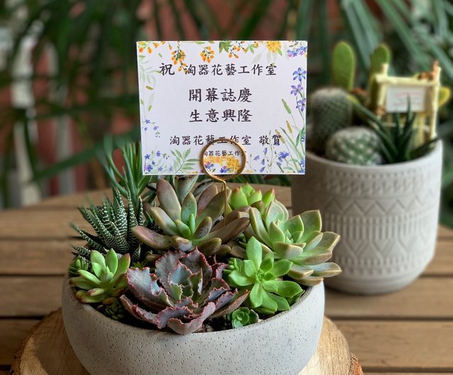 おまかせ 観葉植物 15点セット – inakougei