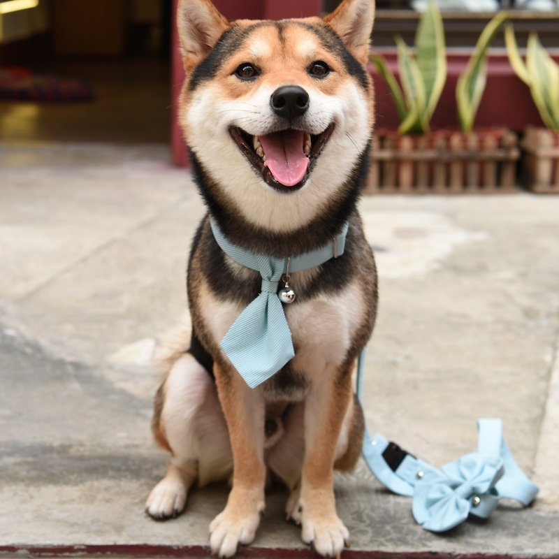 【ZAZAZOO】 M code dog collar accessories (excluding collar) - ปลอกคอ - เส้นใยสังเคราะห์ หลากหลายสี