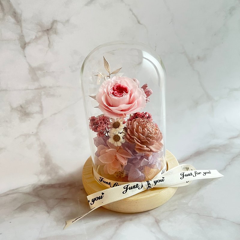 永生花玻璃盅【雙色奧斯汀玫瑰花盅】玻璃罩 擴香索拉花 瓜子花 - 乾燥花/永生花 - 植物．花 粉紅色