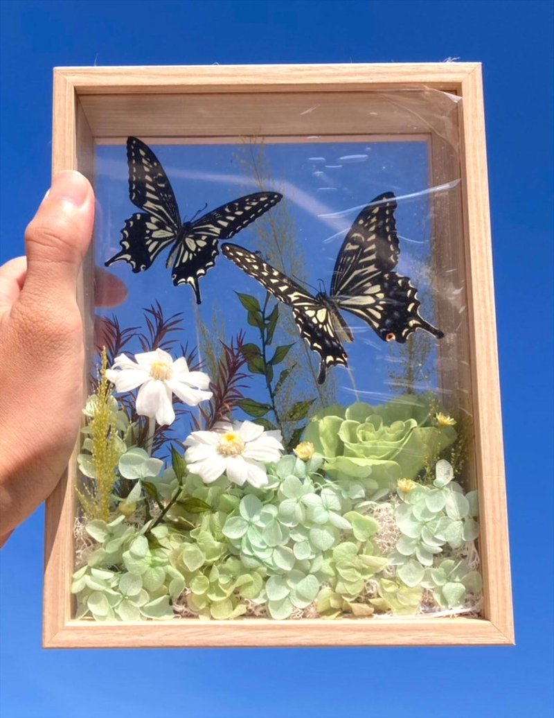 Capture the sky. Western Valentine's Day Gifts/Eternal Butterfly Specimens/Eternal Roses/Housewarming Opening Ceremony - Dried Flowers & Bouquets - Plants & Flowers Green