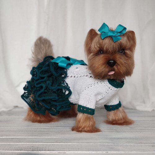 Pretty pet sweater Girl dog clothes Emerald green and white knit dog sweater dress