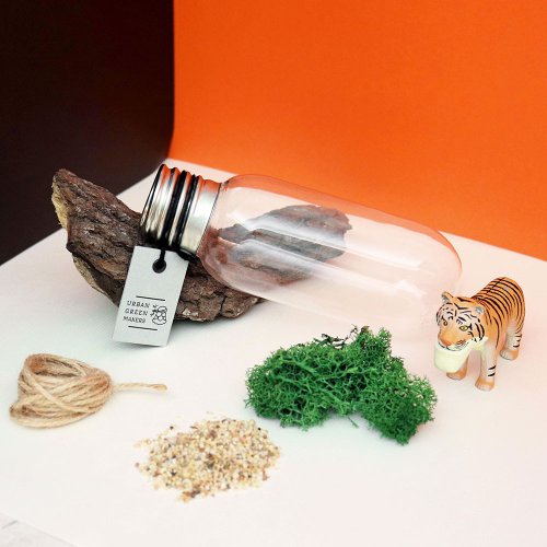URBAN GREEN MAKERS (Taiwan) 【讓我自己挑選】06造型燈管 / 桌上型微造景盆栽 簡易版