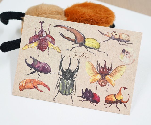 Mr.Beetle～カブトムシ10匹の小さな図鑑】水彩イラストポスト