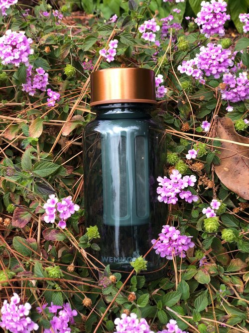 WEMUG 人氣泡茶壼 550ml熱冷泡茶咖啡耐熱 隨行杯壺 隨身瓶(含濾網)