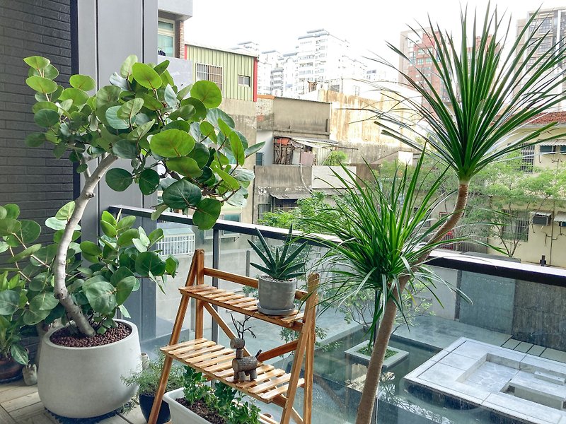 【居家綠化】大樓前陽台設計 - 植栽/盆栽 - 植物．花 