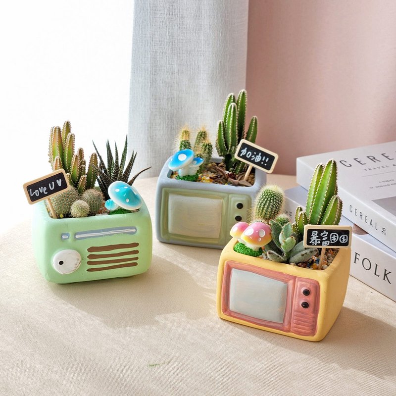 PD149 succulent cactus shaped Cement pot/succulent cactus potted plant - Plants - Plants & Flowers 