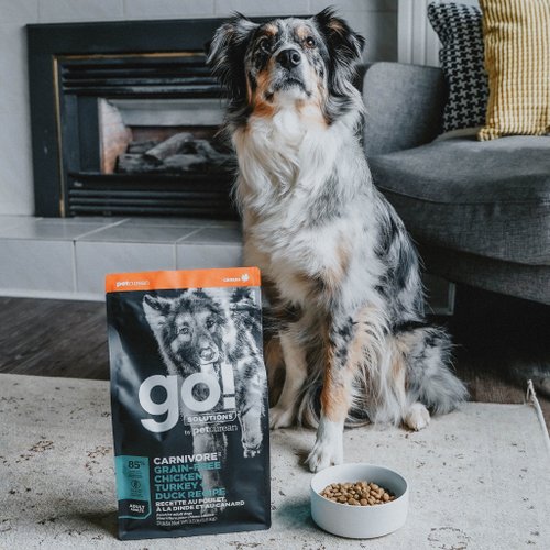 SofyDOG 寵物精品 【狗主食】go! 雞肉鮭魚成犬 高肉量系列 無穀 狗飼料 WDJ