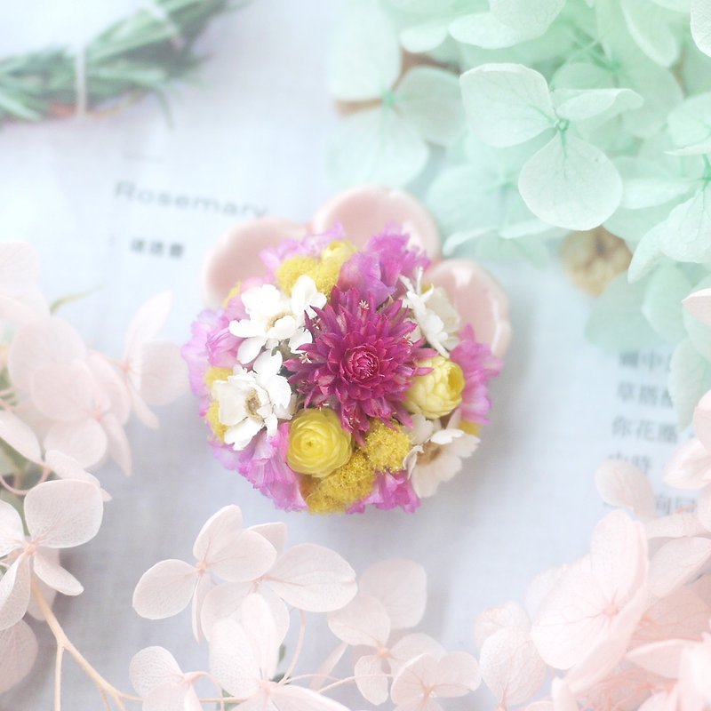 To be continued | Hakubaicho Immortelle acacia amaranth dry flowers and stars pin brooch wedding gift giver little girl was small decorative ornaments stock - เข็มกลัด - พืช/ดอกไม้ 