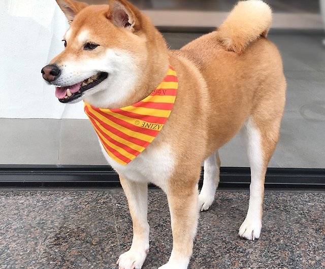 犬専用名スカーフ カスタマイズ 中型犬 イエローのストライプ ショップ Yiyi Handmade 首輪 リード Pinkoi