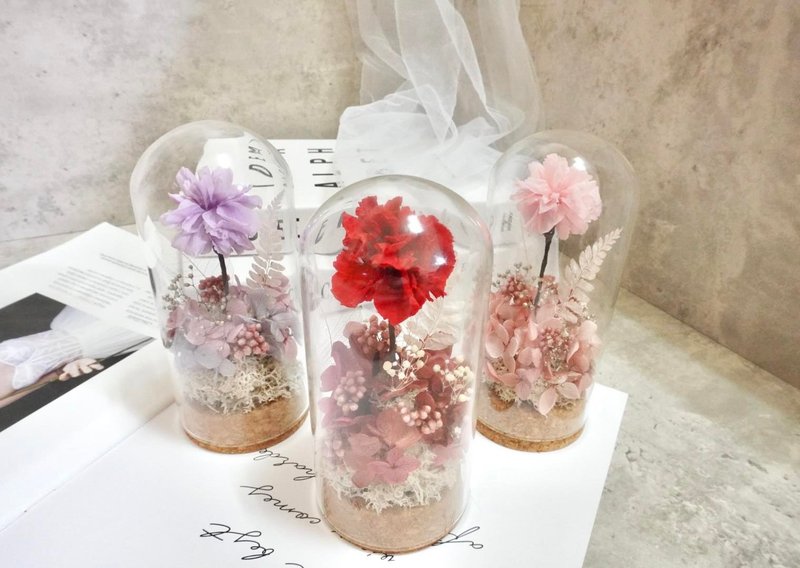 永生康乃馨玻璃罩擺飾 母親節乾燥花設計 - 擺飾/家飾品 - 玻璃 