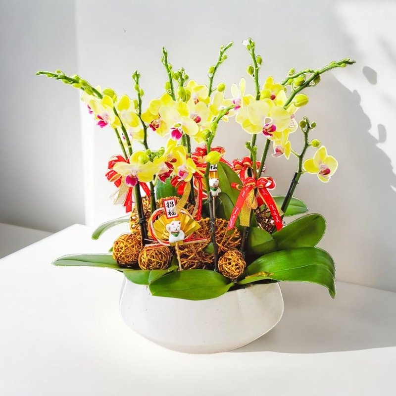 Small Moth / Phalaenopsis Orchids (6 Flowers) GF00228 - ตกแต่งต้นไม้ - พืช/ดอกไม้ 